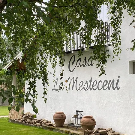Country Club La Mesteceni Han/Misafirhane