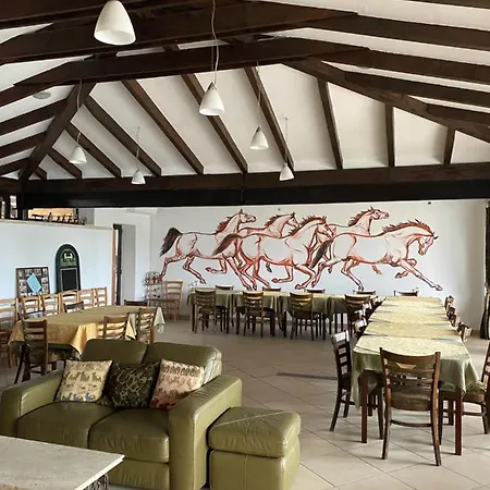 Han/Misafirhane Country Club La Mesteceni Sebeş